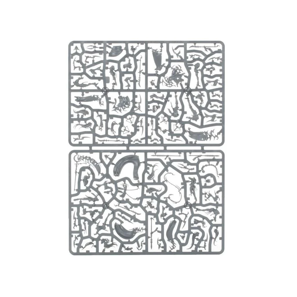 Games Workshop Daughters Of Khaine: Rôdeurs De L'Ombre Khainites 4 Games Workshop Daughters Of Khaine: Rôdeurs De L'Ombre Khainites – Image 2