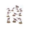 Games Workshop Tyranids: Hormagaunts -Jouets Miniatures tyranids hormagaunts